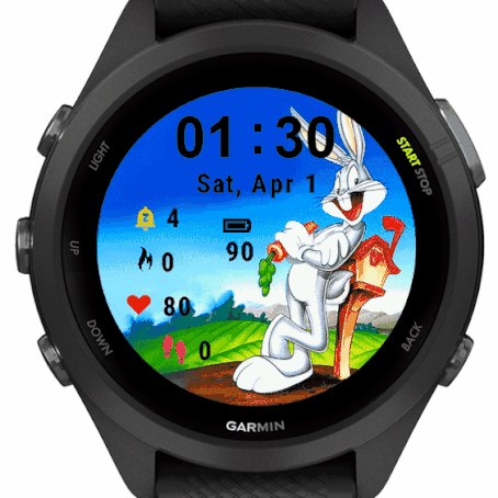Bunny Cartoon