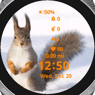 Squirrel Winter