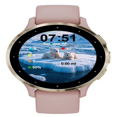 Polar Bears Arctic