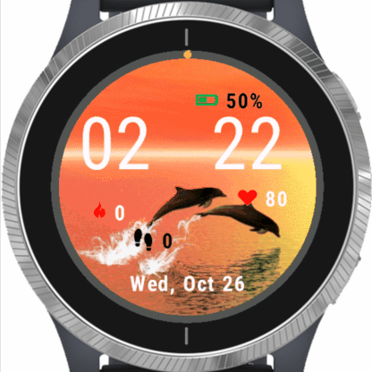 Dolphin