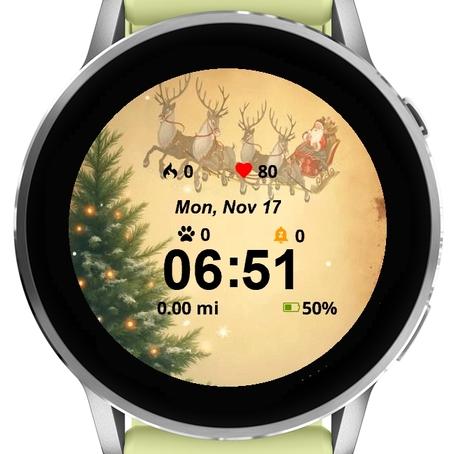 Santa and Reindeer
