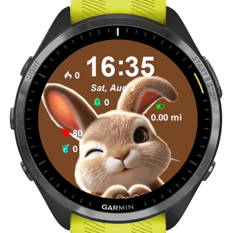Cute Little Bunny
