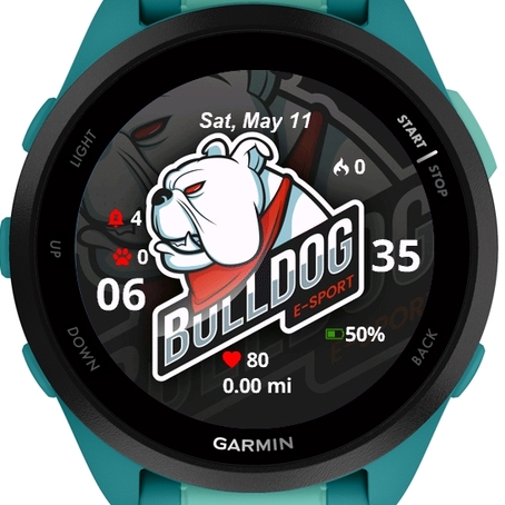 Bull Dog