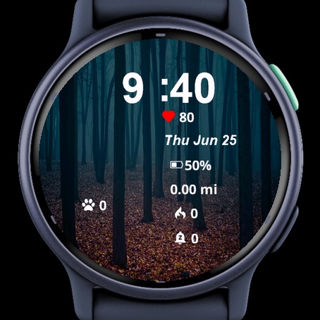 Dark Forest Filled Leaves Trees