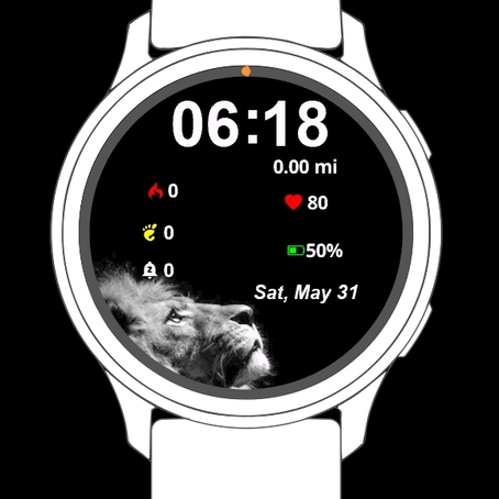 Lion Black