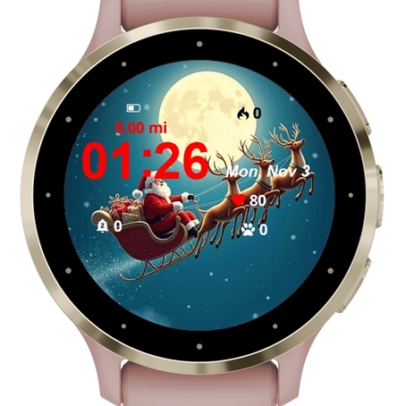 Santa Reindeer