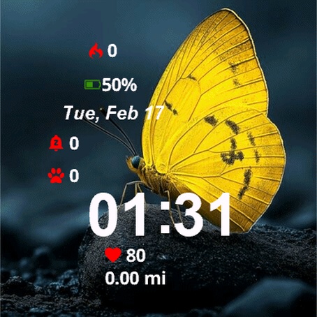 Yellow Butterfly Sitting Rock