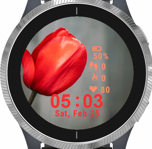 Red Tulip