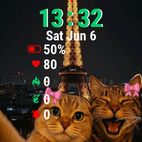 Two Cats Standing