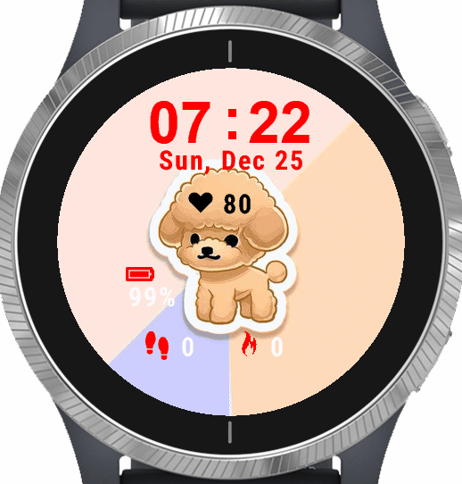 Cute Poodle