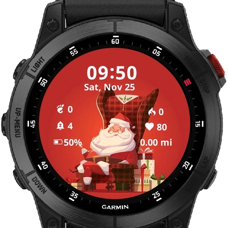 Santa