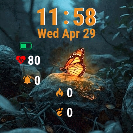 Butterfly Sitting Rock Woods