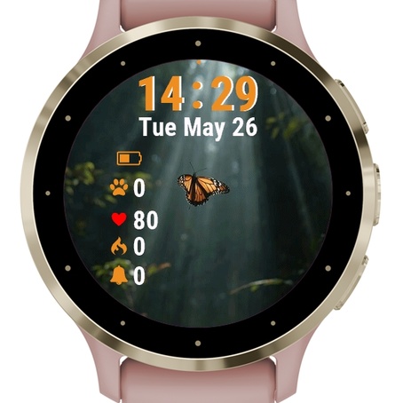 Butterfly Flying Air