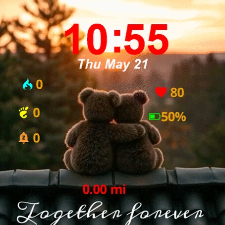 Teddy Bear Sitting Top Roof