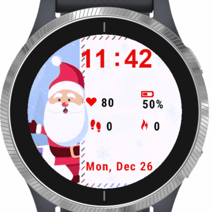 Santa Claus Portrait
