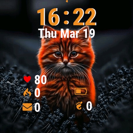 Cat Glowing Face