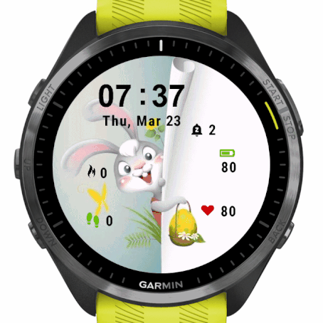 Cute Bunny