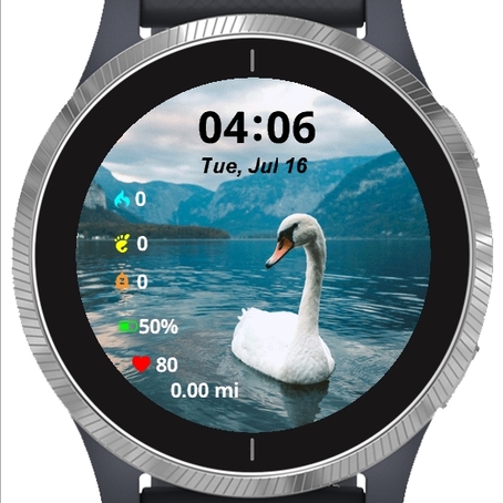 Swan Swimming