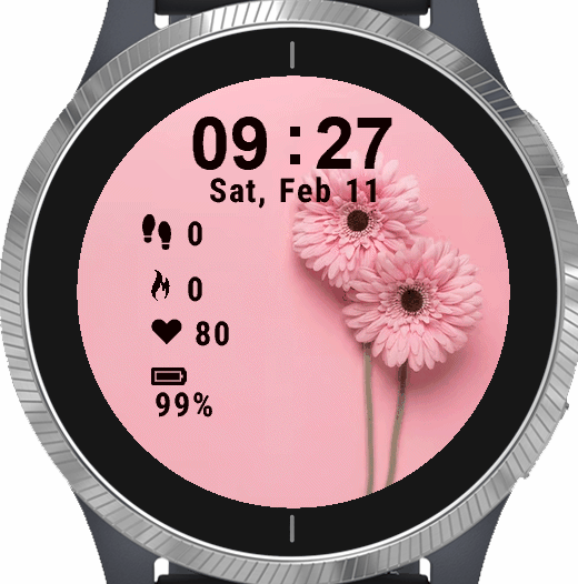 Pink Daisy Flower