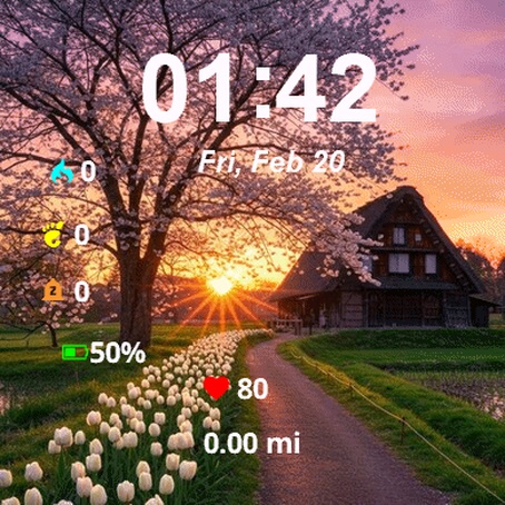 Path Leading To House