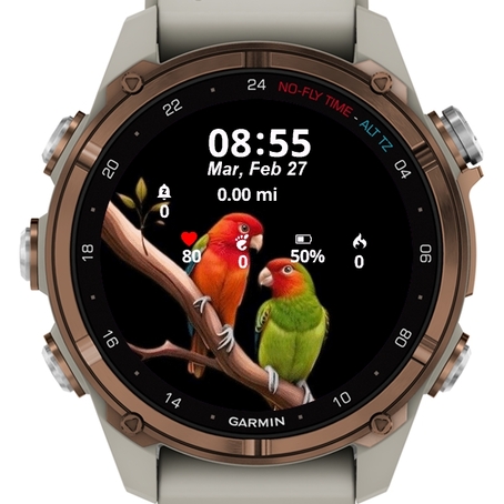 Lovely Birds