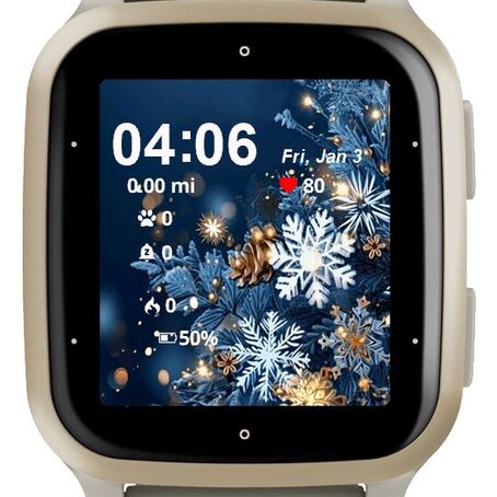 Snowflake Winter