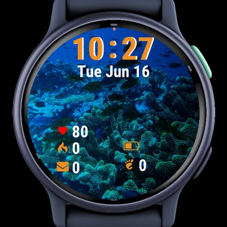 Fish Swimming Over Coral