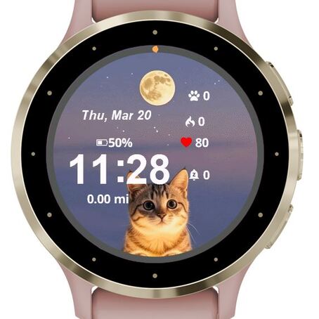 Happy Cat Look At Moon