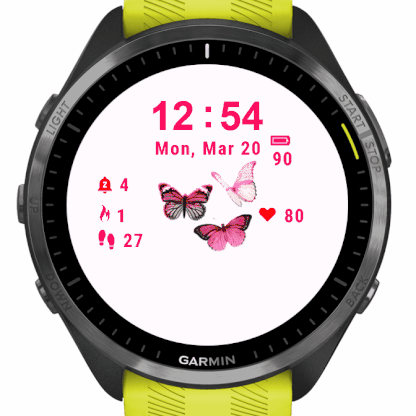 Butterfly