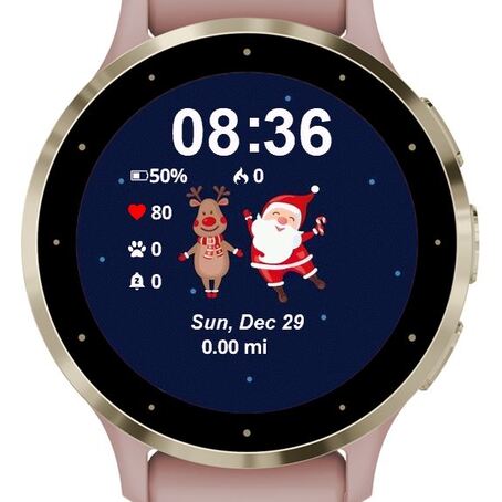 Santa and Reindeer