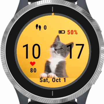 Cute Little Cat
