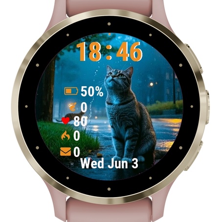 Cat Sitting Ground Rain