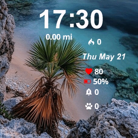 Palm Tree Beach