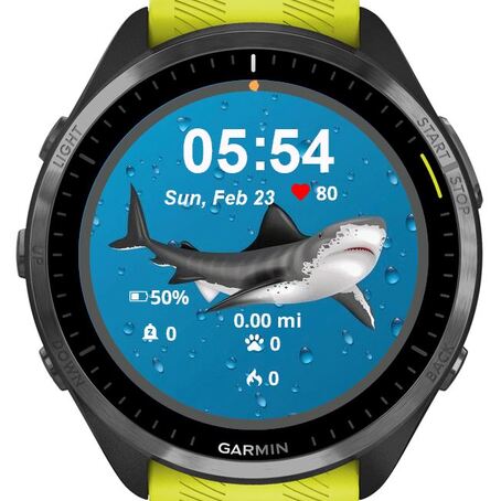 Angry Sharky