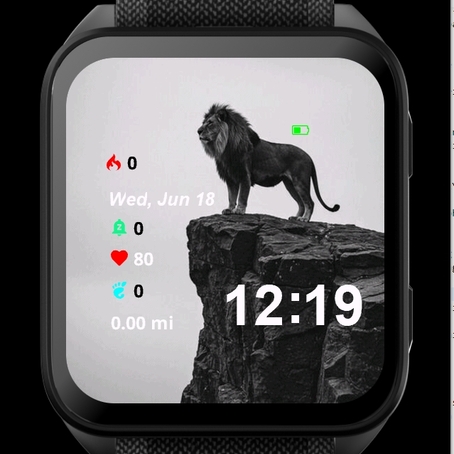 The King Tiger