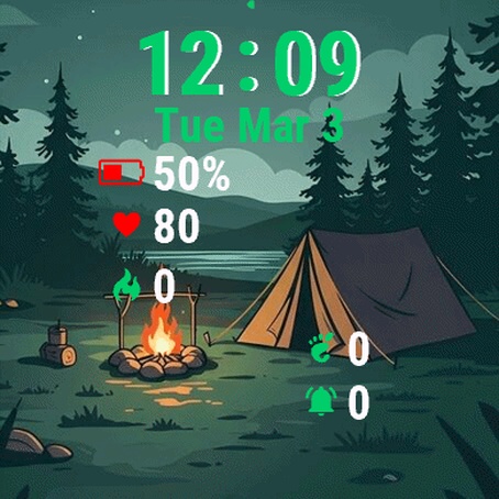 Camping Woods At Night