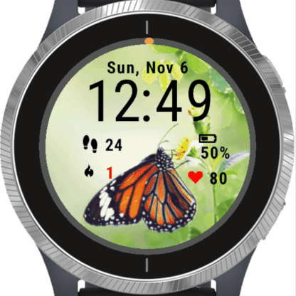 Butterfly #2