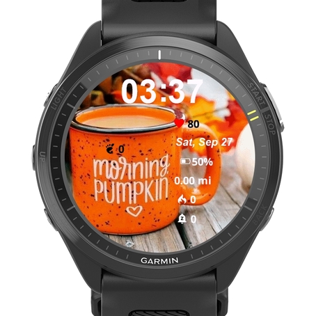 Morning Pumpkin