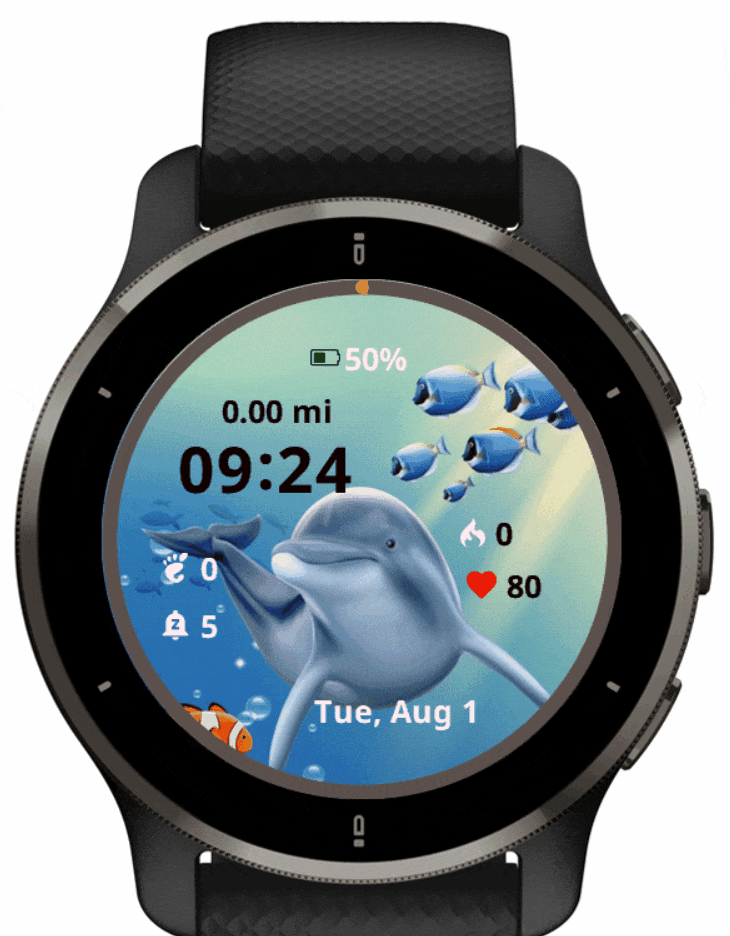 Cute Dolphin