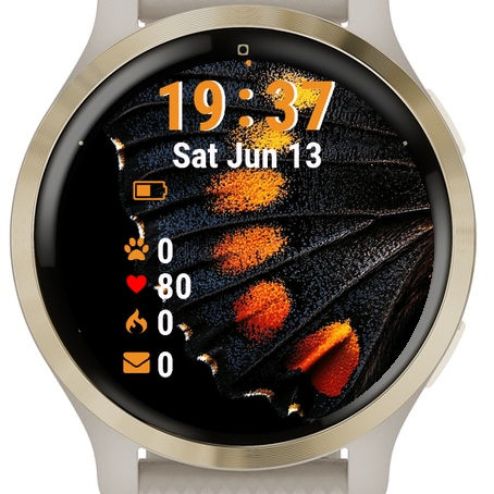 Black Butterfly Orange