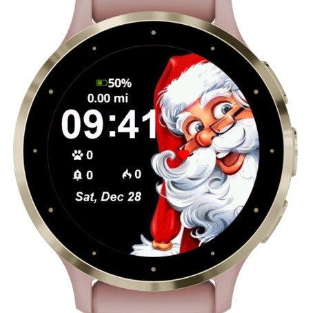 Cute Santa