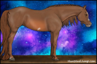 Horse Color:Chestnut Splash Frame