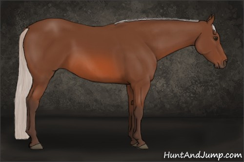 Horse Color: Silver Bay 