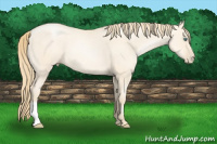 Horse Color:Smoky Grullo Pearl 