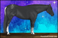 Horse Color:White Spotted Black 
