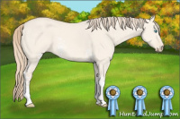 Horse Color:White Spotted Perlino Dun 