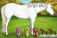 Horse Color:Buckskin Blanket 