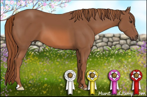 Horse Color: Chestnut 