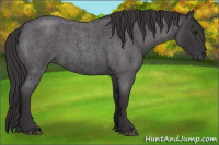 Horse Color:Smoky Blue Roan 