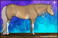 Horse Color:White Spotted Silver Buckskin Dun 